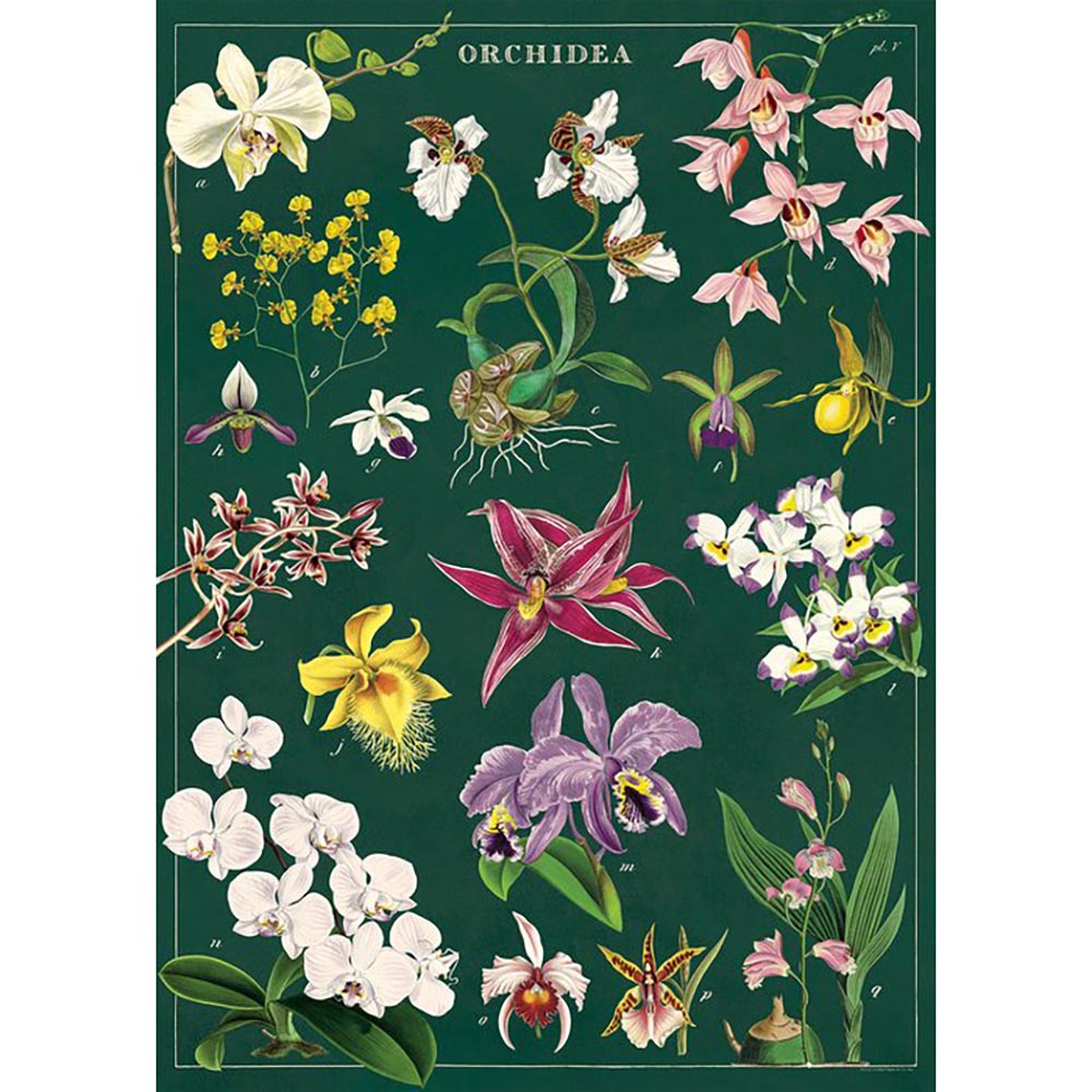 Orchid Wrapping Paper - Floral Gift Wrap for Bouquets, Flowers, and Presents - Perfect for Birthdays, Weddings, and Special Occasions