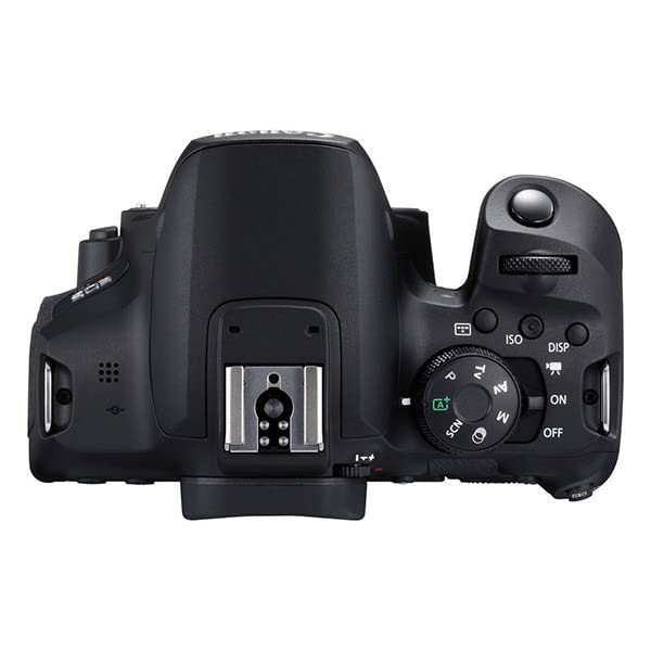 Canon EOS Rebel T8i DSLR Camera Bundle with 18-55mm Lens, 4K Monitor, Pro Audio Gear & 64GB Memory Cards - Perfect for Vlogging, YouTube Content Creation & Professional Photography (Renewed)