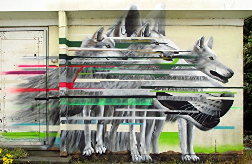 Wolf Family