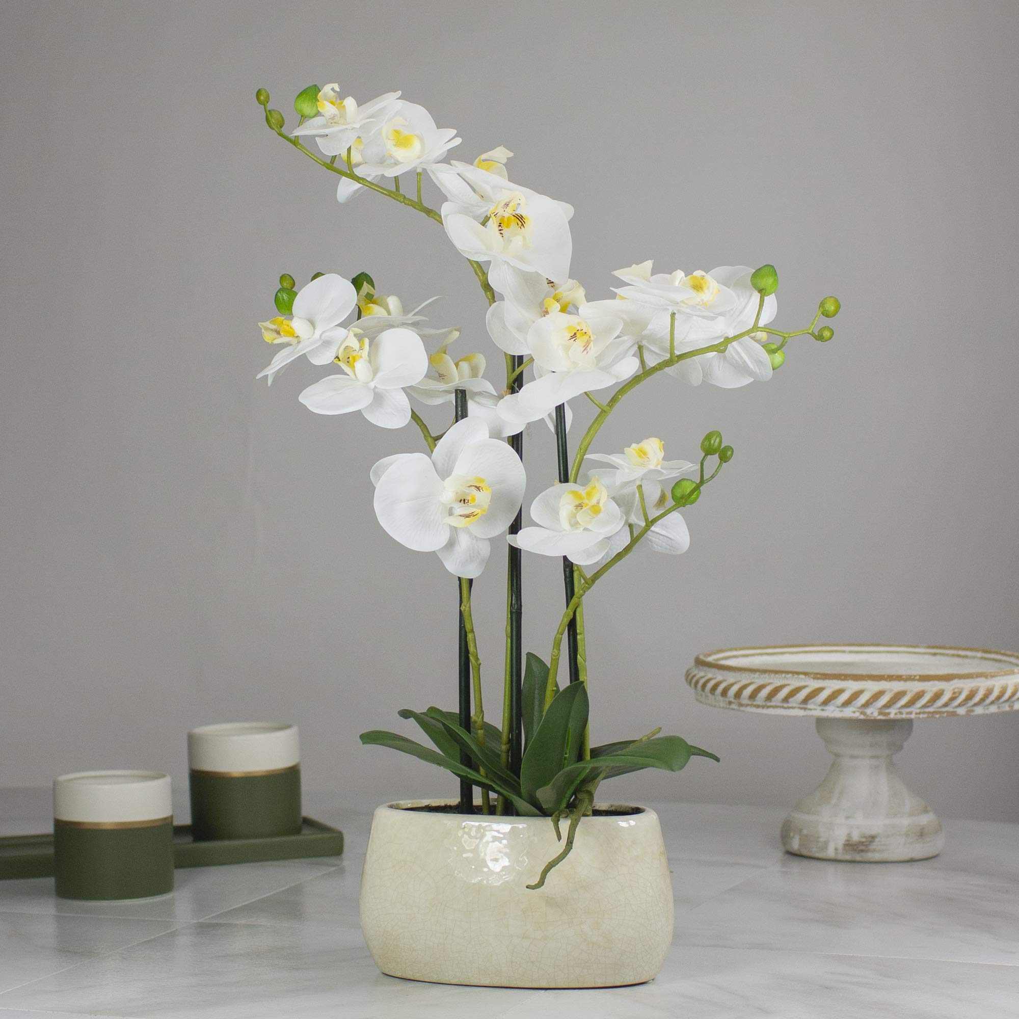 Premium Real Touch™ Artificial Orchid Plant in White Oval Pot - 22