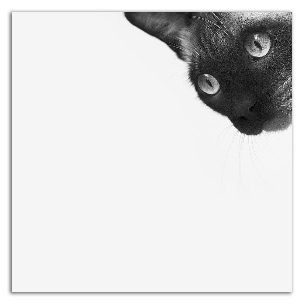 Be Brave by Jon Bertelli - Premium Canvas Wall Art Print, Framed & Ready to Hang - Perfect for Home Office Decor, Living Room, Bedroom & Gift Ideas