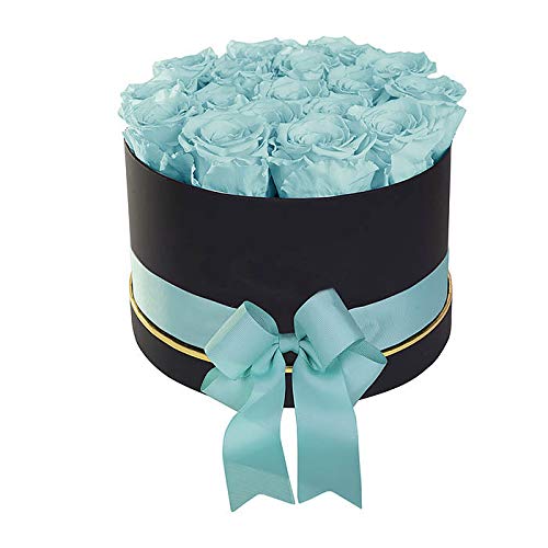 Luxury Long Lasting Preserved Roses in Elegant Black Gift Box - Fresh-Looking Eternal Flowers for Anniversary, Valentine's Day & Home Decor (Blue)