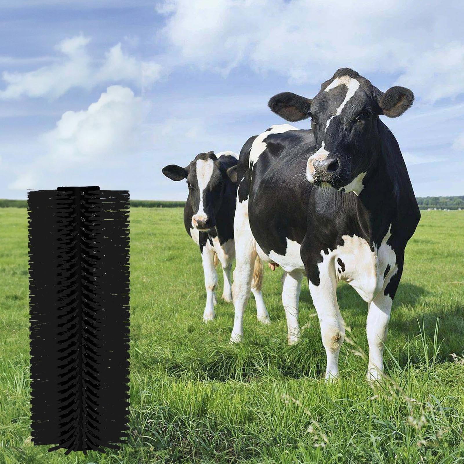 4PCS Livestock Scratching Brush Set - 20.1x7.9 Inch Horse Grooming Brushes for Cows, Sheep, Pigs with 16 Screws - Durable Animal Care Supplies for Barn, Stable & Farm Use - Black