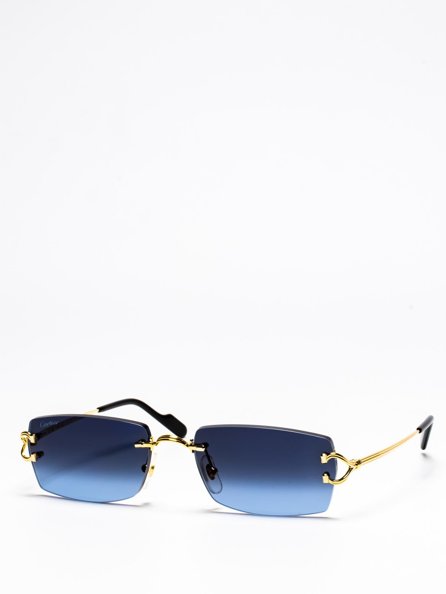 Cartier CT0550S 002 C Décor Sunglasses - Luxury Designer Shades for Women & Men | Perfect for Beach, Driving & Fashion Outfits