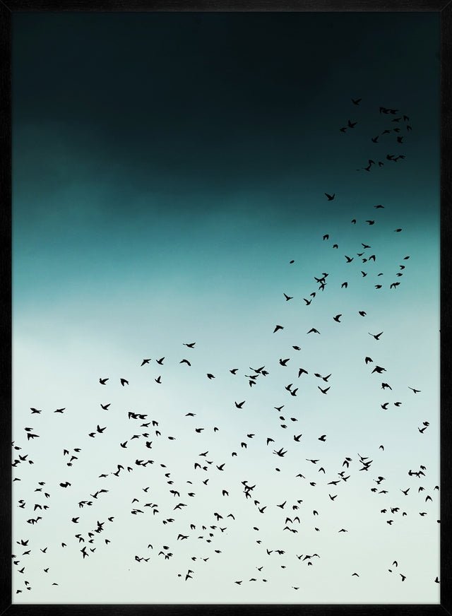 Birds In Flight Wall Art Print - Stunning Nature Photography for Home & Office Decor | Perfect for Living Room, Bedroom, or Office Spaces