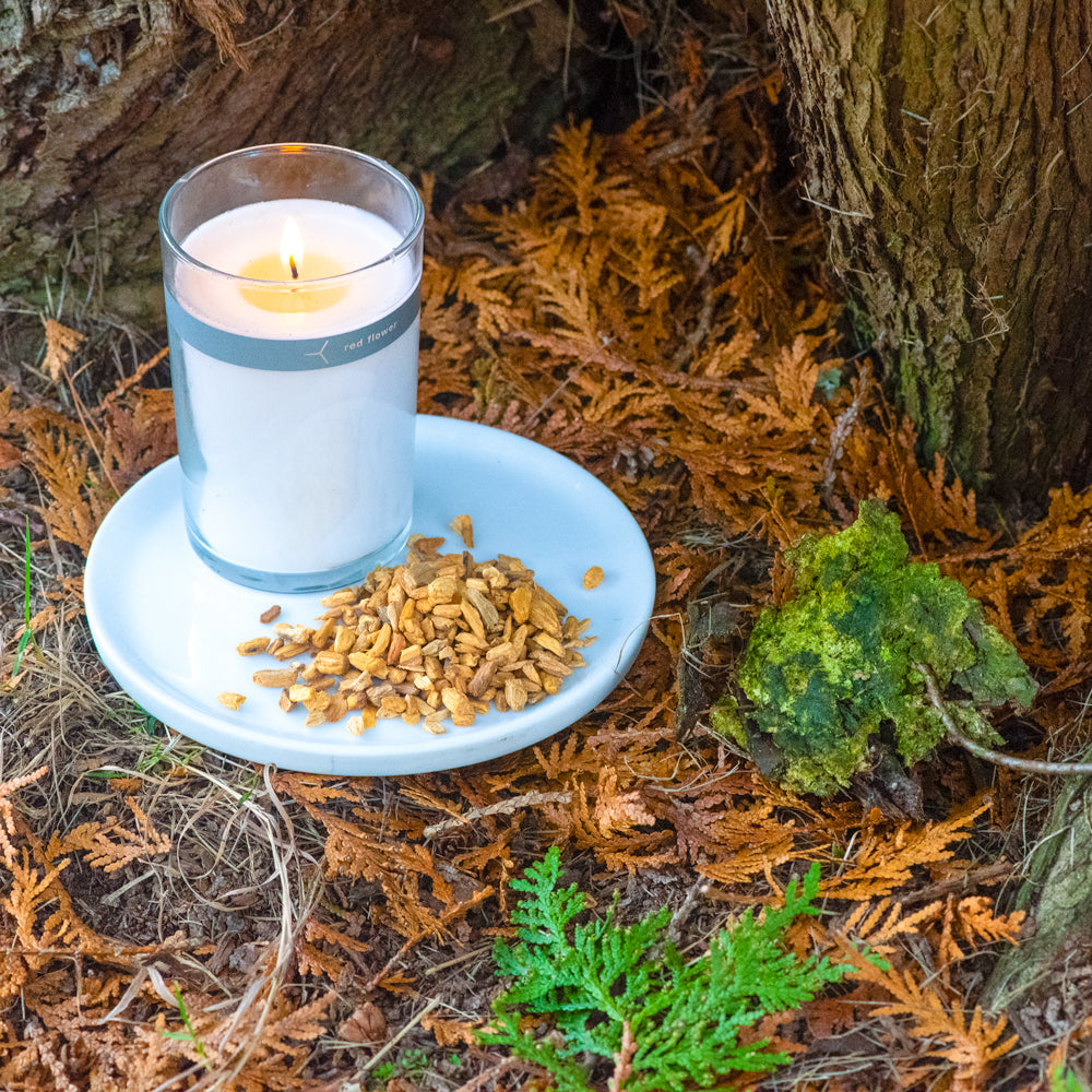 Palo Santo Petal Topped Candle - Natural Aromatherapy Soy Wax Candle for Relaxation & Meditation - Perfect for Home, Yoga, Spa & Gift Giving