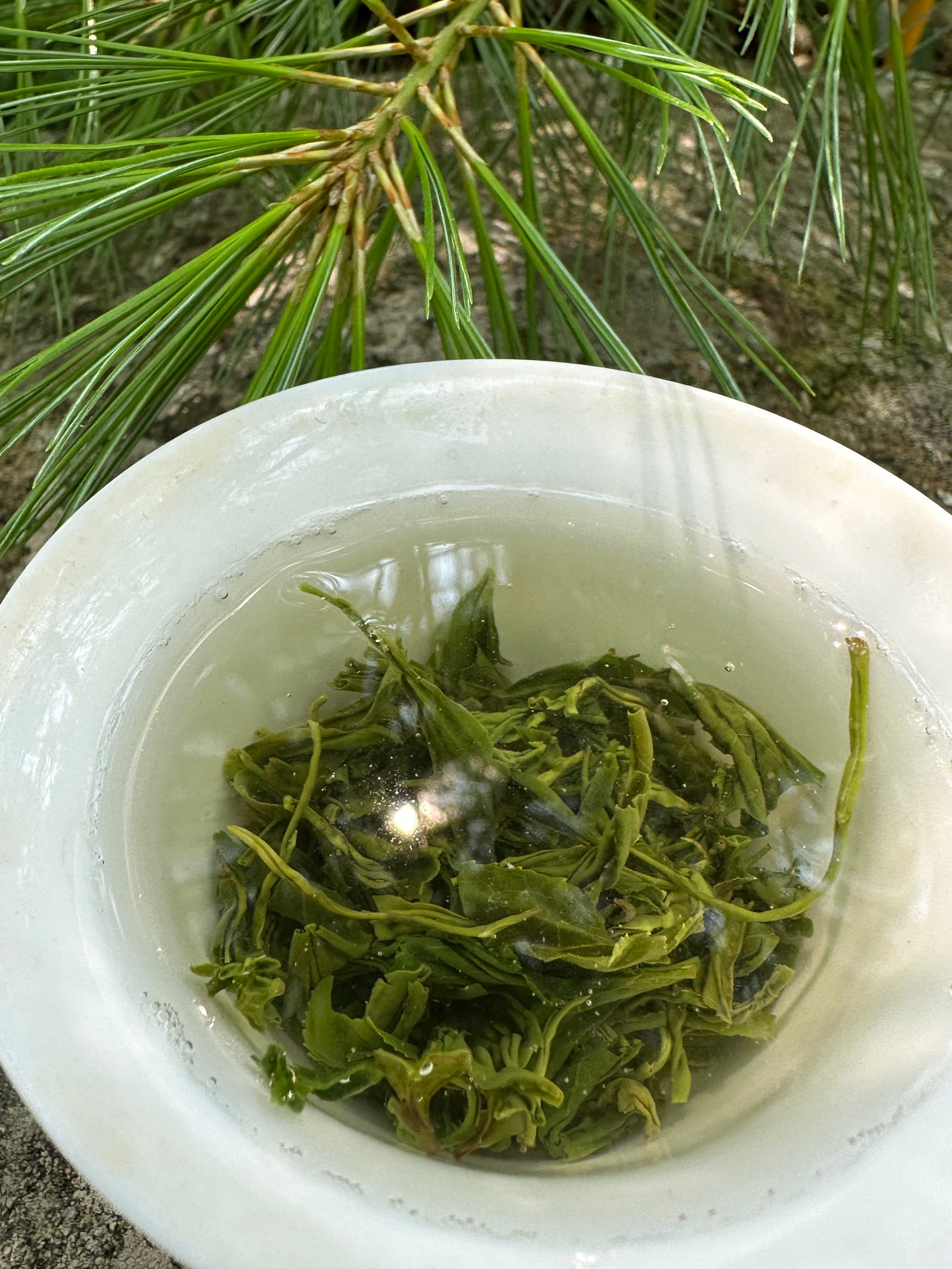 Premium Songzhen Green Tea - 100% Organic Loose Leaf Tea for Weight Loss & Detox | Perfect for Relaxation, Meditation & Daily Wellness Routine