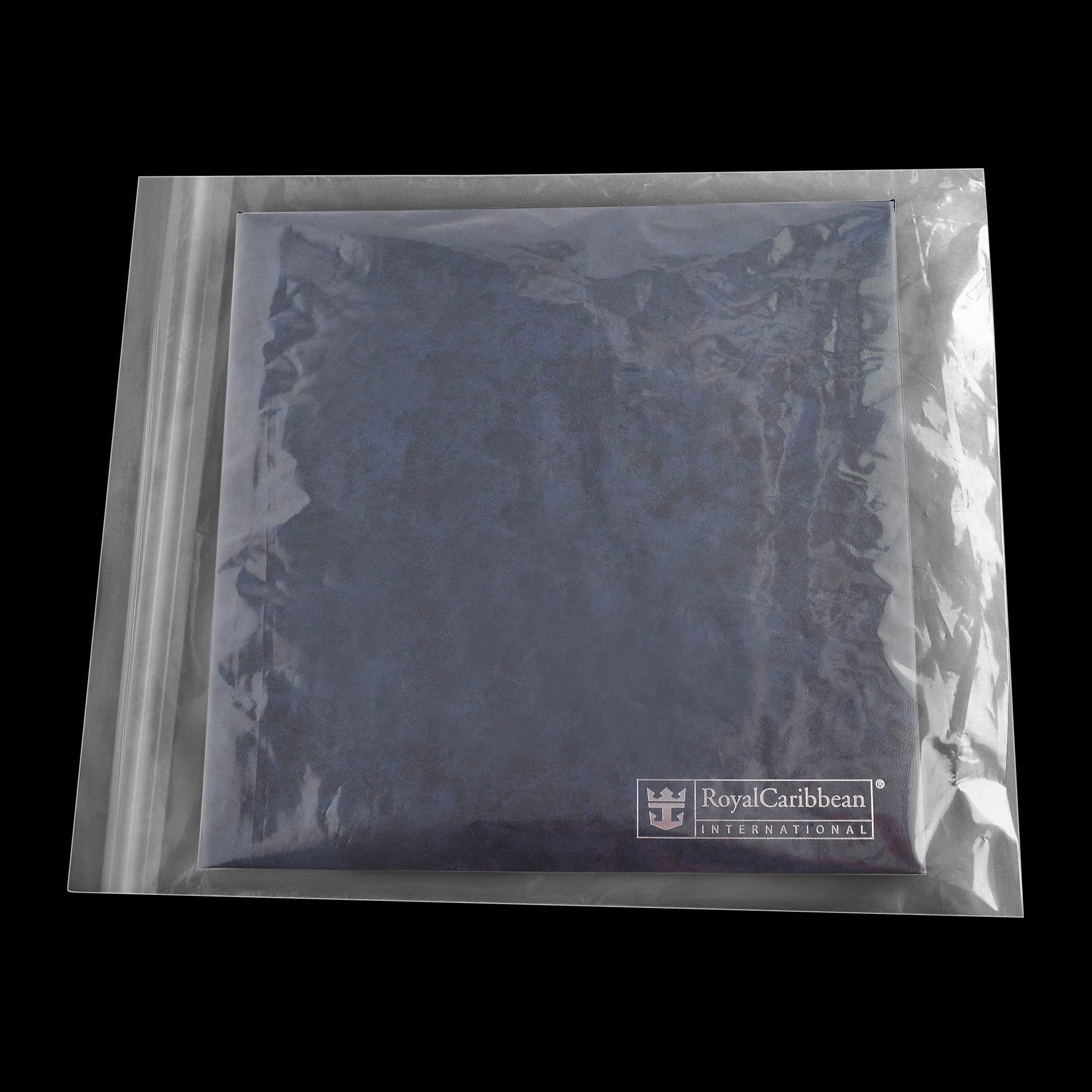 PSBM 13x15 Inch 2 Mil Clear Reclosable Zipper Bags - 2000 Pack | Heavy Duty Poly Plastic Storage Bags for Organizing Small Parts, Crafts & Office Supplies | Perfect for Jewelry Making, Hardware Storage & Travel Accessories