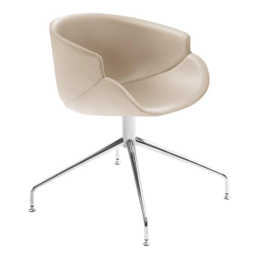 B Line Bix Dining Chair with Spoke Base - Modern Kitchen & Dining Room Furniture for Home & Restaurant Use