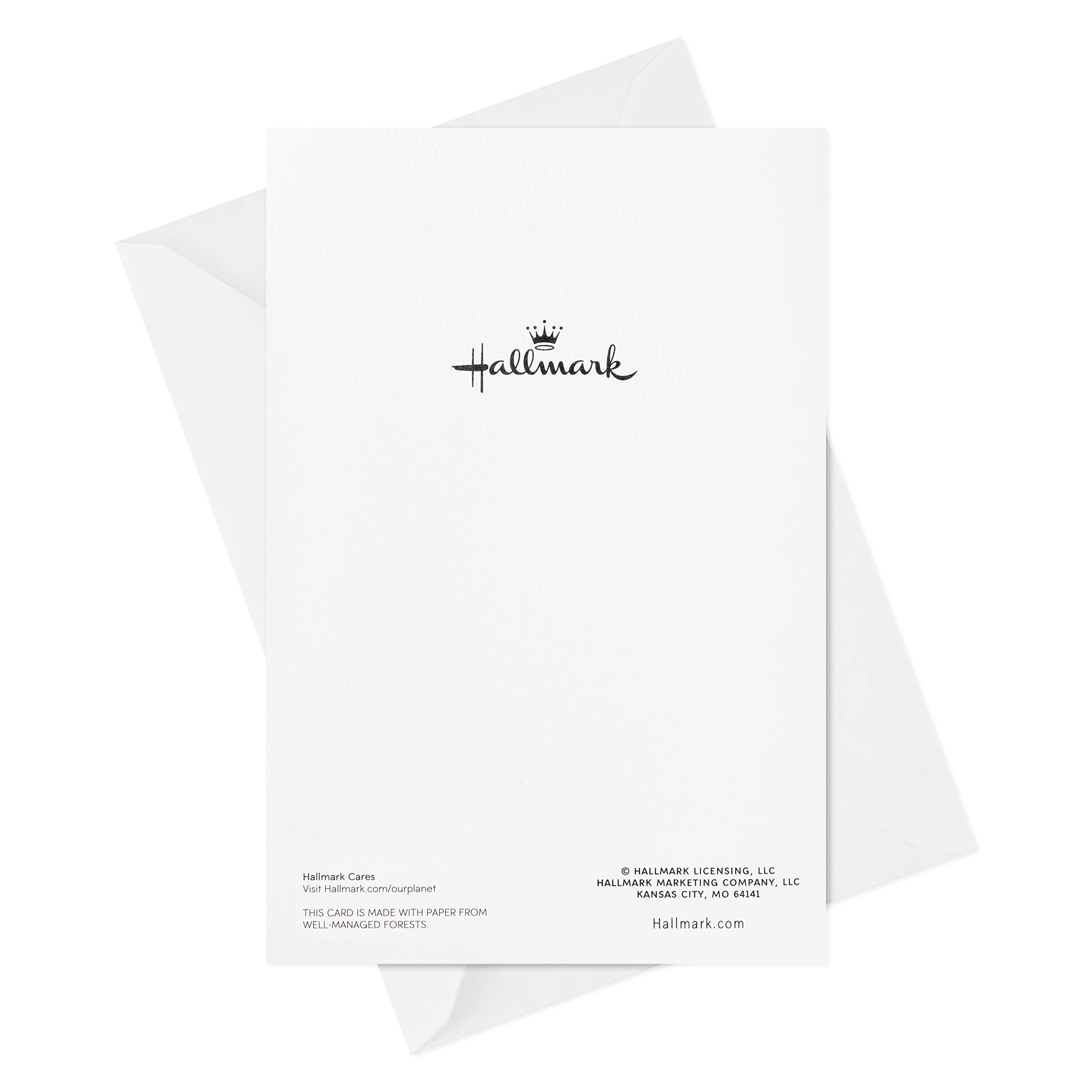 Hallmark Religious Boxed Christmas Cards - Light of Heaven (16 Cards with Envelopes) for Holiday Greetings, Church Events & Christian Celebrations