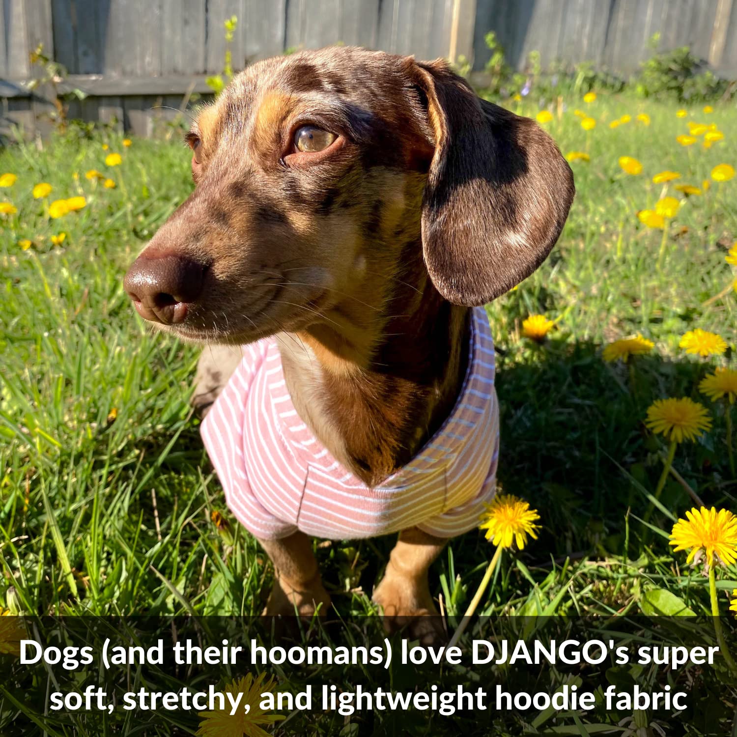 DJANGO Dog Hoodie - Soft & Stretchy Winter Sweater for Small Dogs & Dachshunds - Machine Washable Pet Hoodie with Elastic Waistband & Harness Hole - Cozy Blush Pink Dog Sweatshirt for Outdoor Walks & Indoor Lounging