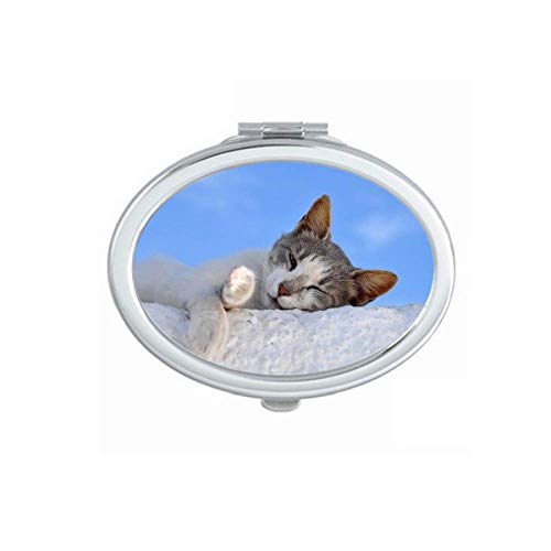 DIYthinker Foldable Double-Sided Cat Mirror - Portable Makeup Mirror for Pets, Relaxing Sleep Companion, Handheld Compact Design for Travel & Home Use