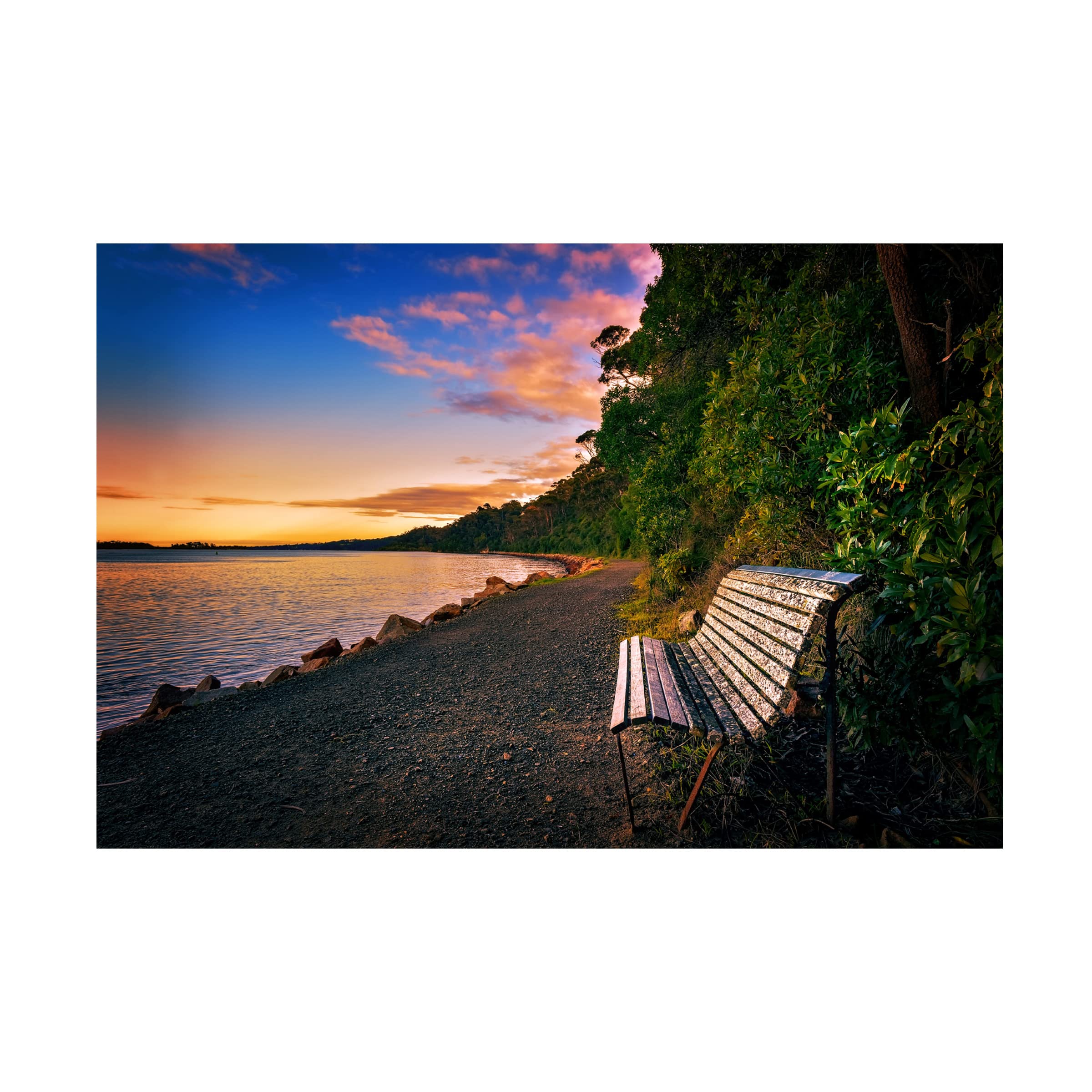 Trademark Fine Art 'Watching The Dawn' Canvas Wall Art by Tracie Louise - Modern Home Decor for Living Room, Bedroom & Office