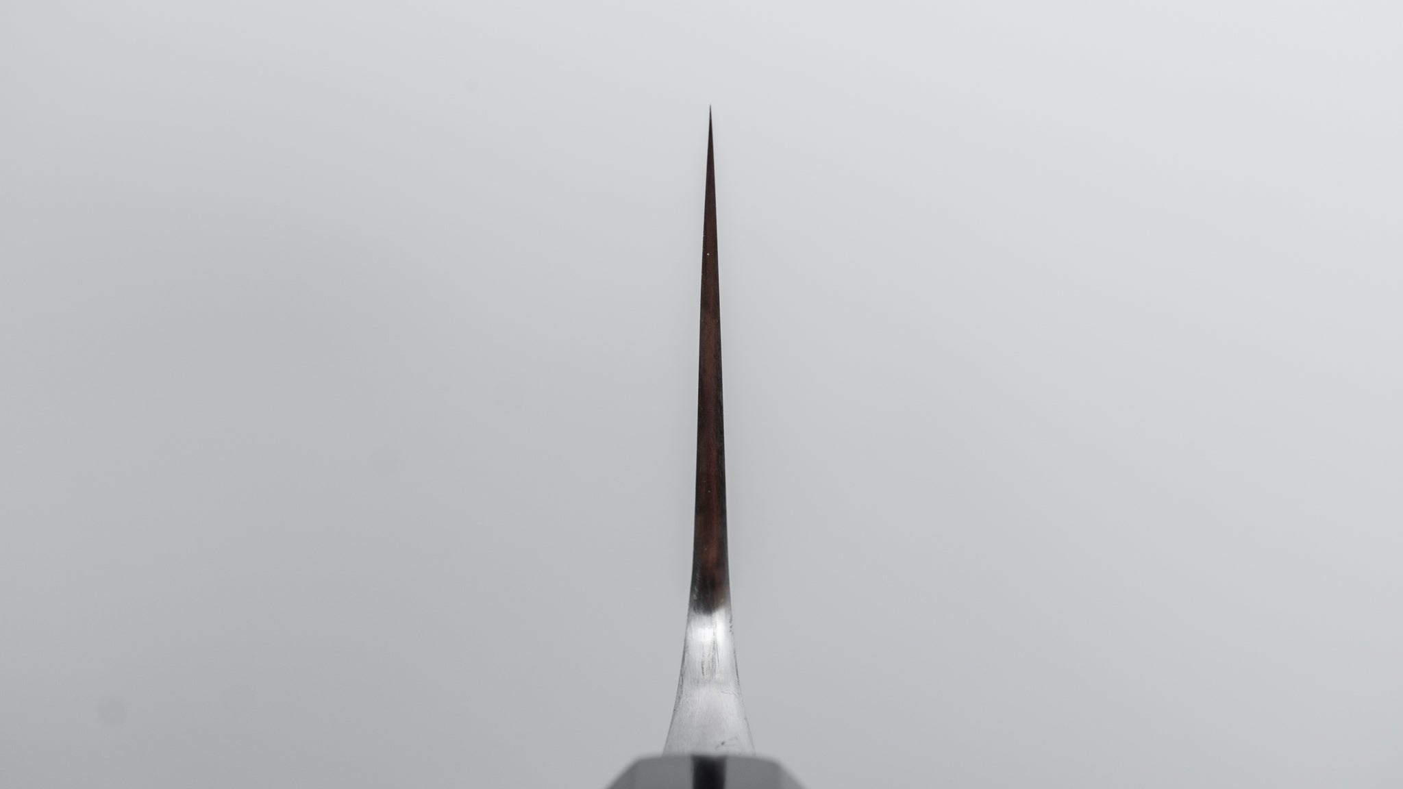 Premium Jiro Tsuchime Wa Gyuto 240mm Japanese Chef Knife with Taihei Tagayasan Handle - Perfect for Sushi, Meat Cutting & Professional Kitchen Use