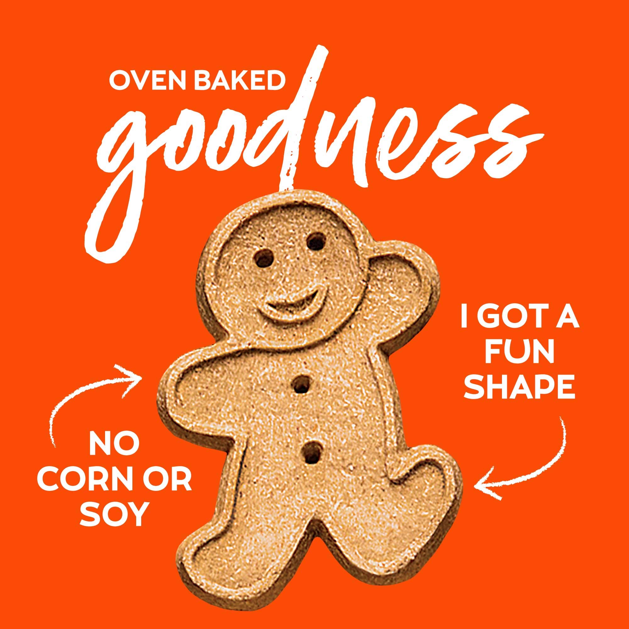 Buddy Biscuits Oven Baked Dog Treats with Peanut Butter & Whole Grain - 6 Pack (96 oz) - Healthy Crunchy Snacks for Training, Rewards & Dental Care - Perfect for Small, Medium & Large Dogs