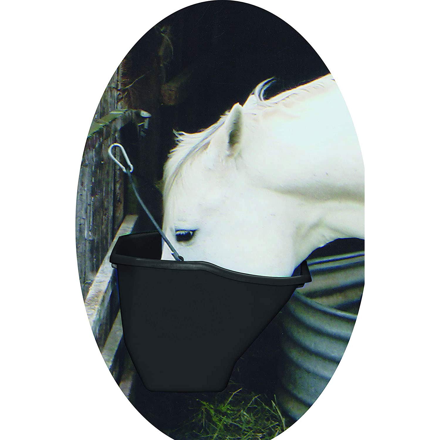 Little Giant 20 Quart Heavy-Duty Plastic Livestock Feed Bucket - Angled Design for Animal Comfort - 4 Pack Black - Perfect for Farm, Ranch & Pet Feeding Stations