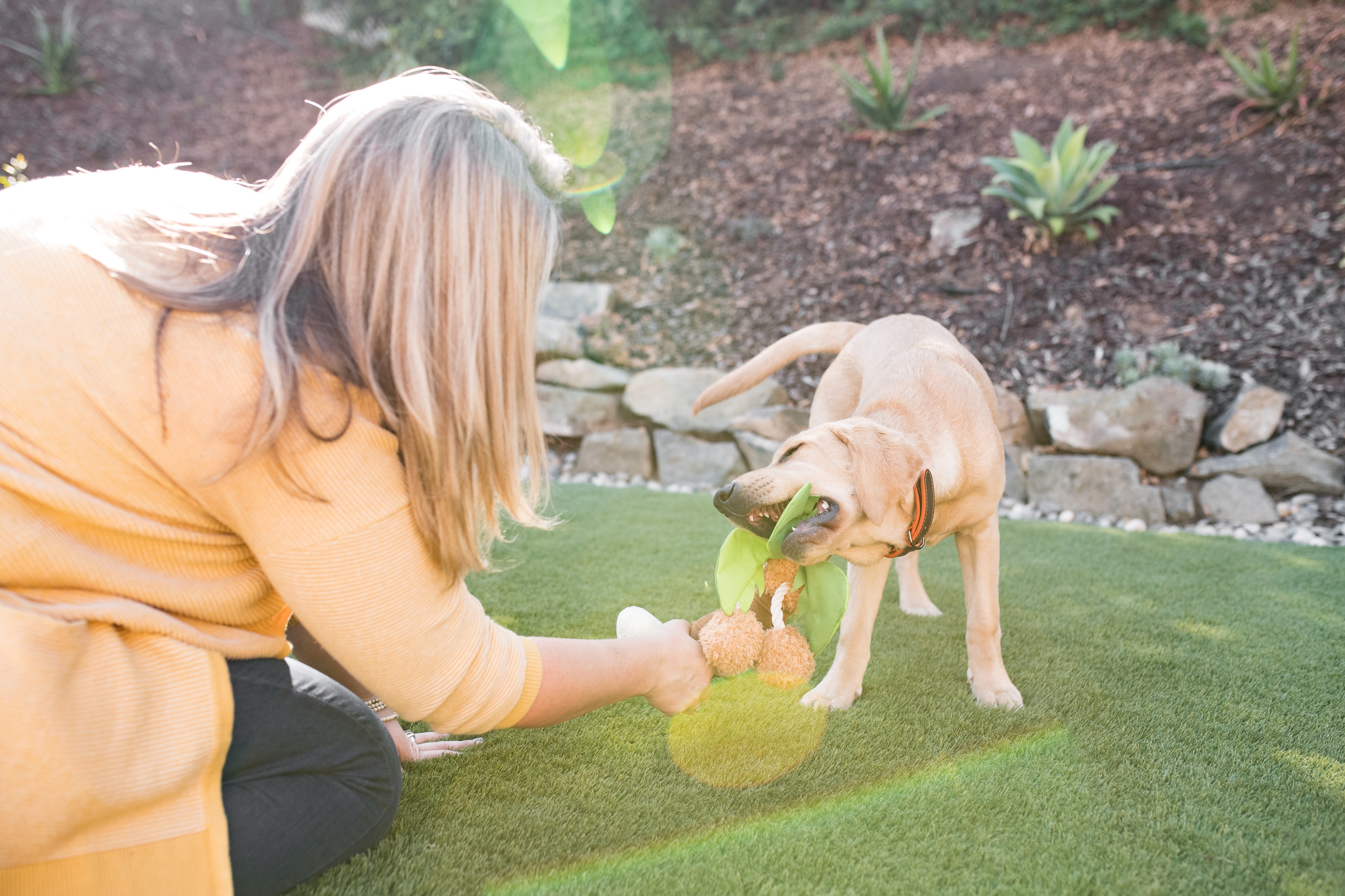 Tropical Paradise™ Dog Plush Toy - La Palma Soft Chew Toy for Dogs | Durable & Safe Pet Play | Perfect for Indoor & Outdoor Playtime
