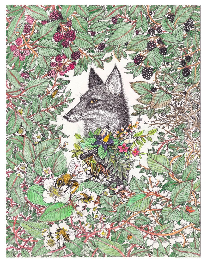 8.5x11 Fine Art Prints by Magda Boreysza - Fox and Comet Collection | Premium Wall Decor for Home, Office & Gift Giving