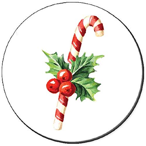 Holly With Candy Cane