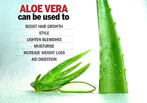 Organic Aloe Vera Powder for Face, Skin & Hair Care - 100% Pure & Natural Aloe Powder for DIY Beauty, Smoothies & Sunburn Relief - 1Kg (2.2 lbs)