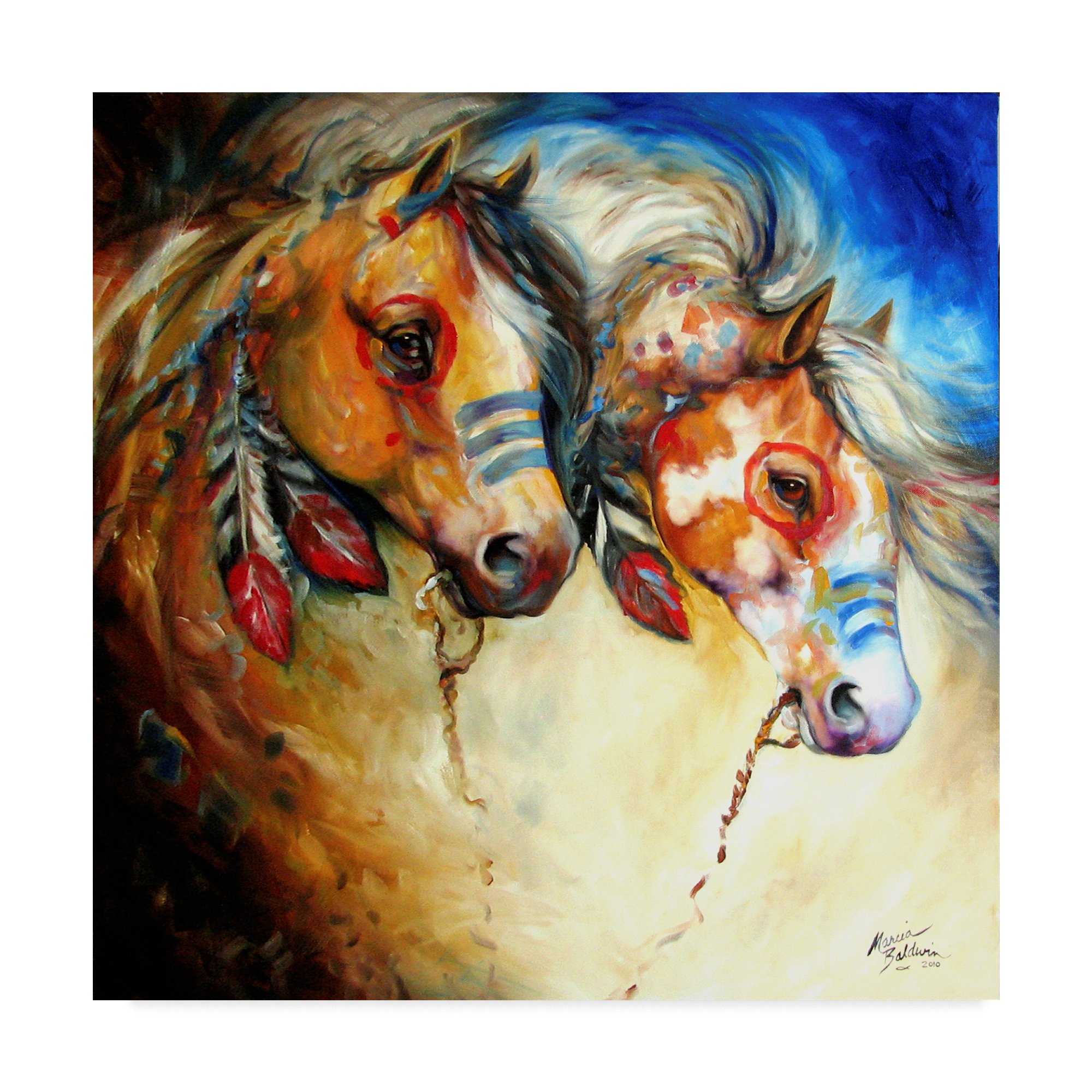 Trademark Fine Art Marcia Baldwin Multicolor Canvas Painting - Perfect for Living Room, Bedroom & Office Wall Decor