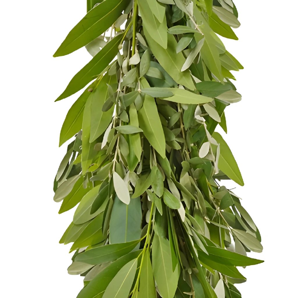 Bay Leaf and Olive Garland - Natural Greenery Decor for Weddings, Christmas, and Home Decoration | Rustic Kitchen & Dining Room Centerpiece