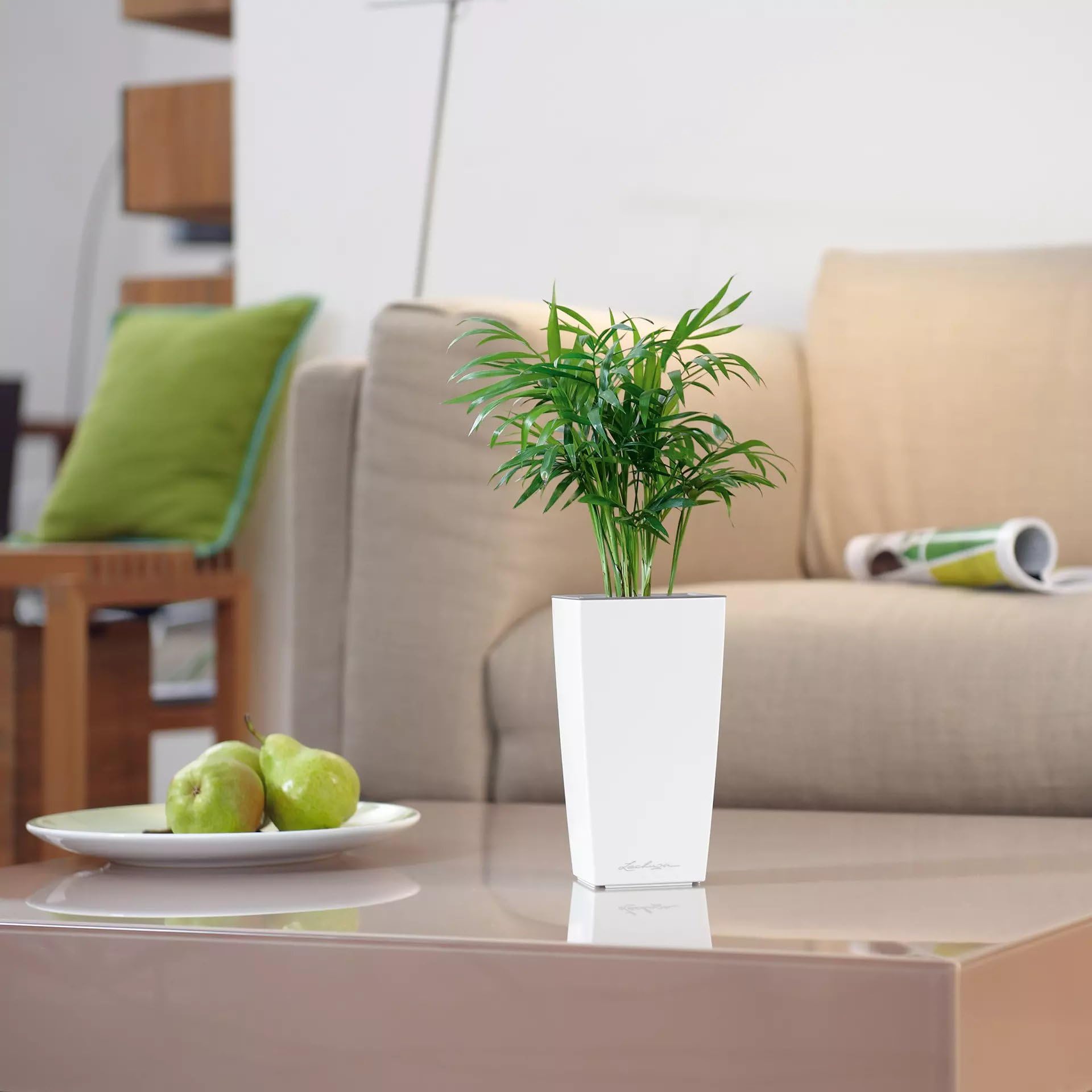 Lechuza Cubi Premium 9 Self-Watering Planter with Water Level Indicator - Mini White High-Gloss Flower Pot for Indoor Plants, Succulents & Herbs | Perfect for Home, Office & Balcony Decor