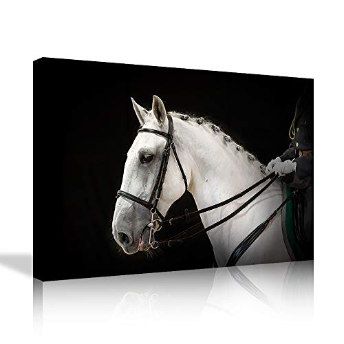 Animal wall art 10