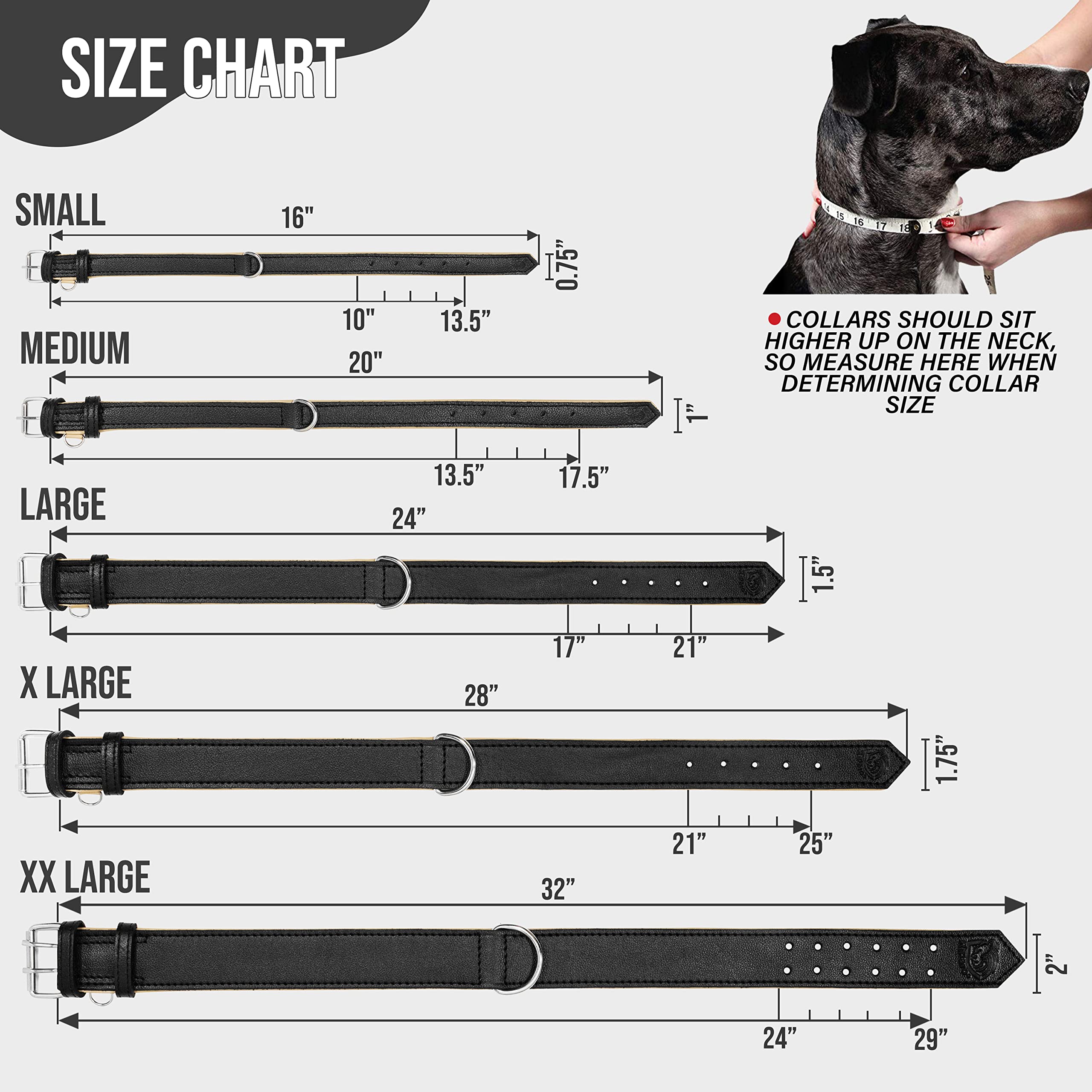 Premium Genuine Leather Dog Collar for Medium Dogs - Adjustable & Durable Riparo Collar (M, Black) - Perfect for Daily Walks, Training & Outdoor Adventures