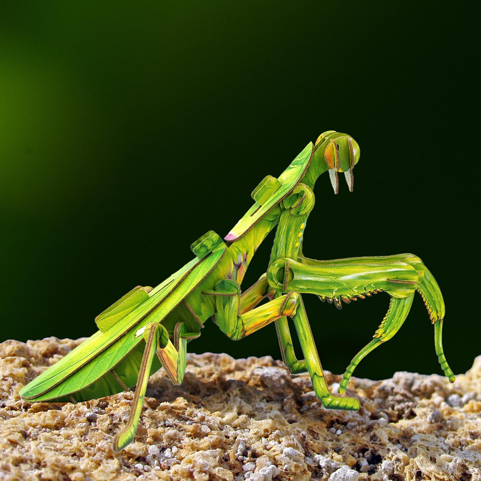 STEM Educational 3D Paper Puzzles for Kids Ages 7+ | Eco-Friendly DIY Construction Toys | Giant Asian Mantis & Phyllium Insect Models | Perfect for Birthday, Christmas Gifts & Homeschool Science Projects | Fun Classroom & Home Learning Activity