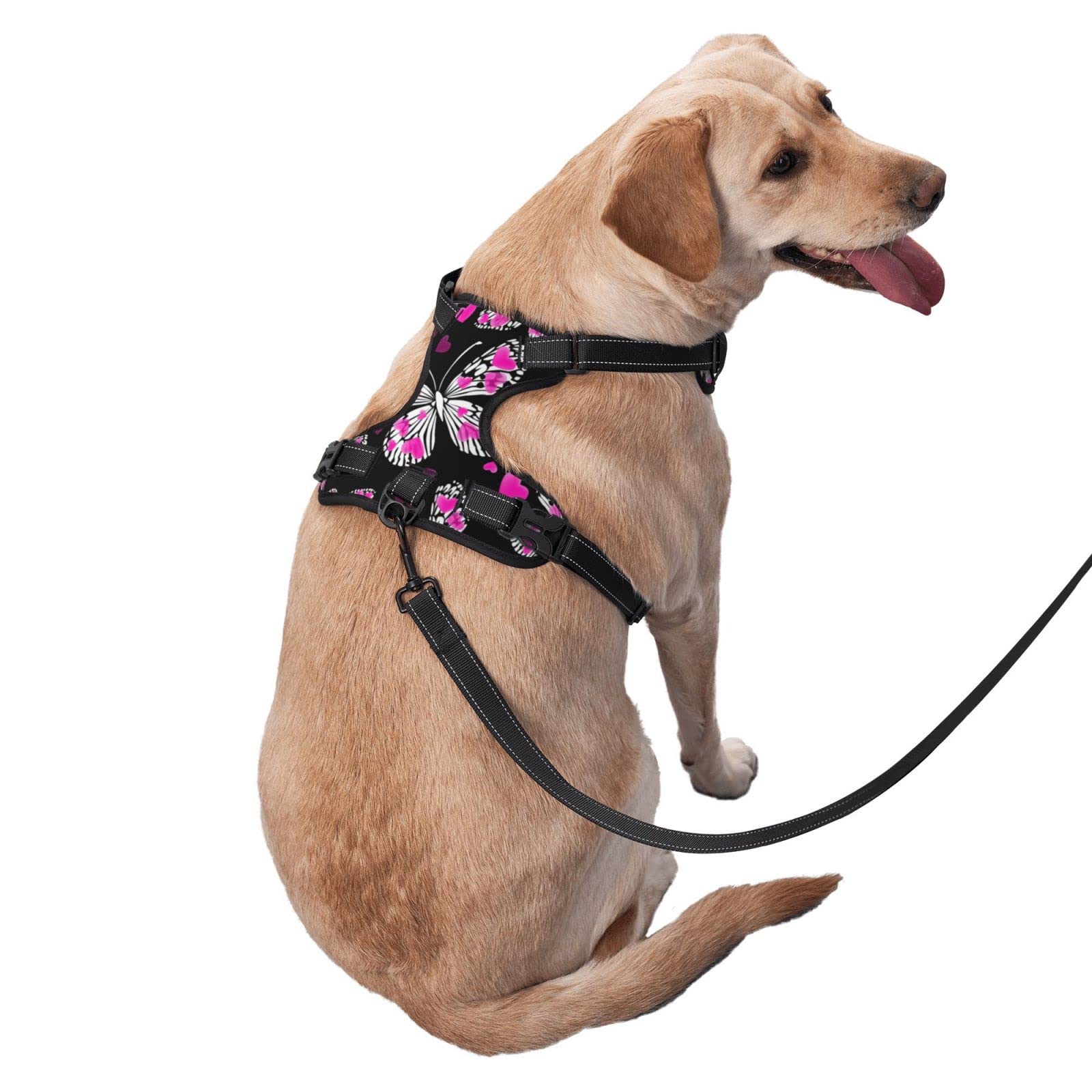 Butterfly Dog Harness with Leash - Adjustable Reflective Pet Costume Accessories for Small, Medium & Large Dogs & Cats | Perfect for Halloween, Parties & Outdoor Walks