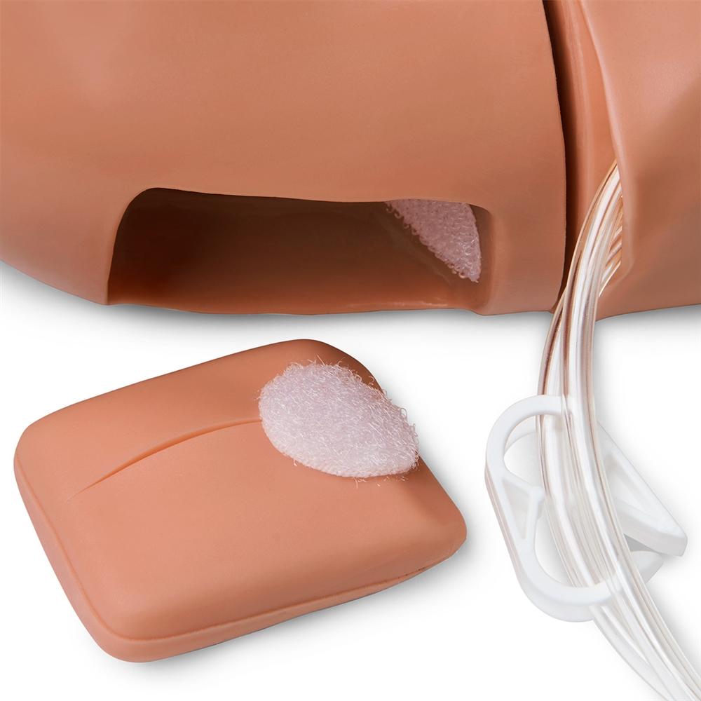 1 Year Multipurpose Patient Care & CPR Pediatric Training Simulator - Lightweight, Durable for Medical Students & Healthcare Professionals - Perfect for CPR Certification, Nursing Education & Emergency Response Training
