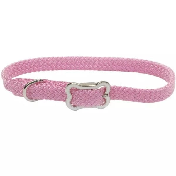 Stylish Coastal Sunburst Dog Collar with Durable Bone Buckle - Perfect for Beach Walks & Outdoor Adventures