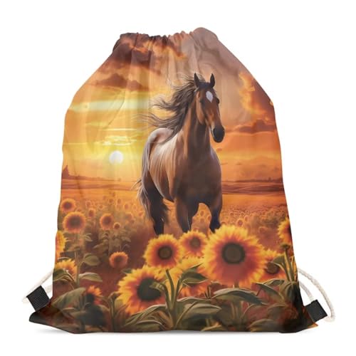 Aesthetic Sunset Scenery Sunflowers Horse