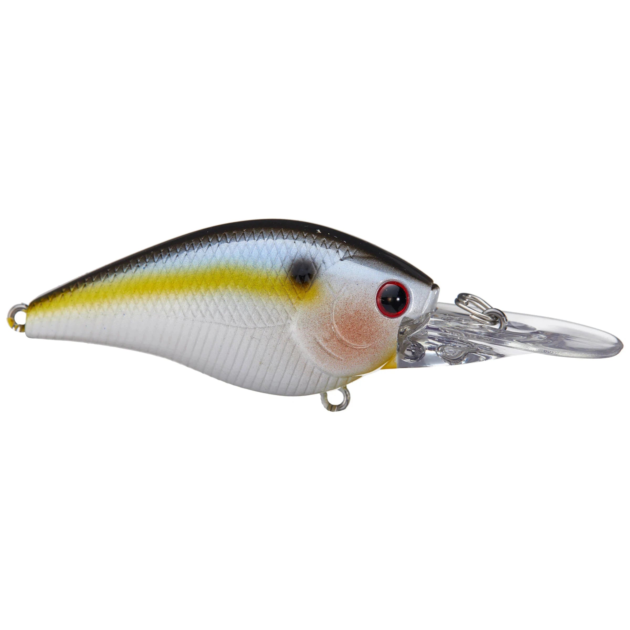 Pearl Threadfin Shad