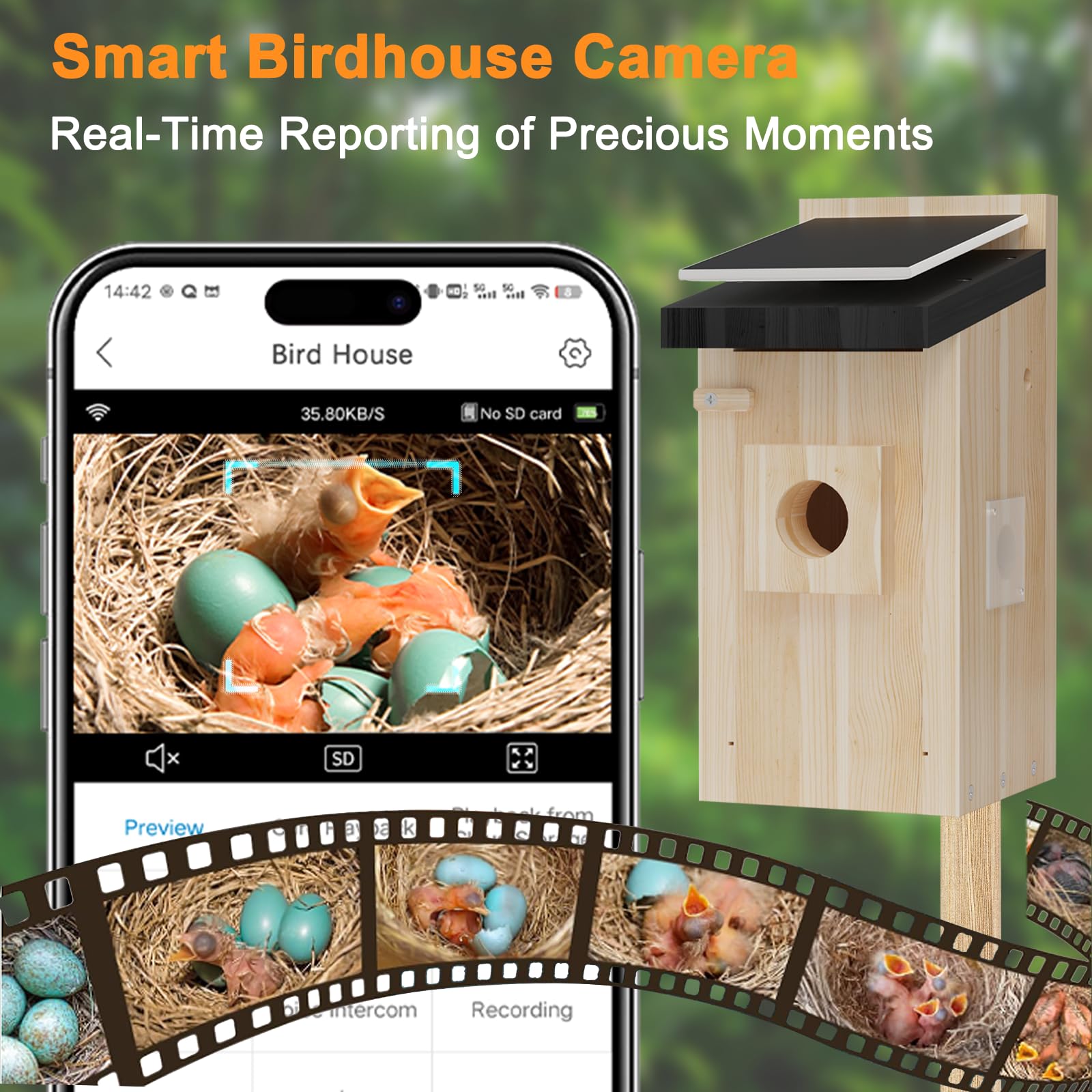 4MP Smart Bird House with Camera - AI Identify & Solar Powered, Real-Time Bird Nesting & Hatching Monitor, Perfect Gift for Bird Lovers - Ideal for Backyard Birdwatching & Wildlife Observation