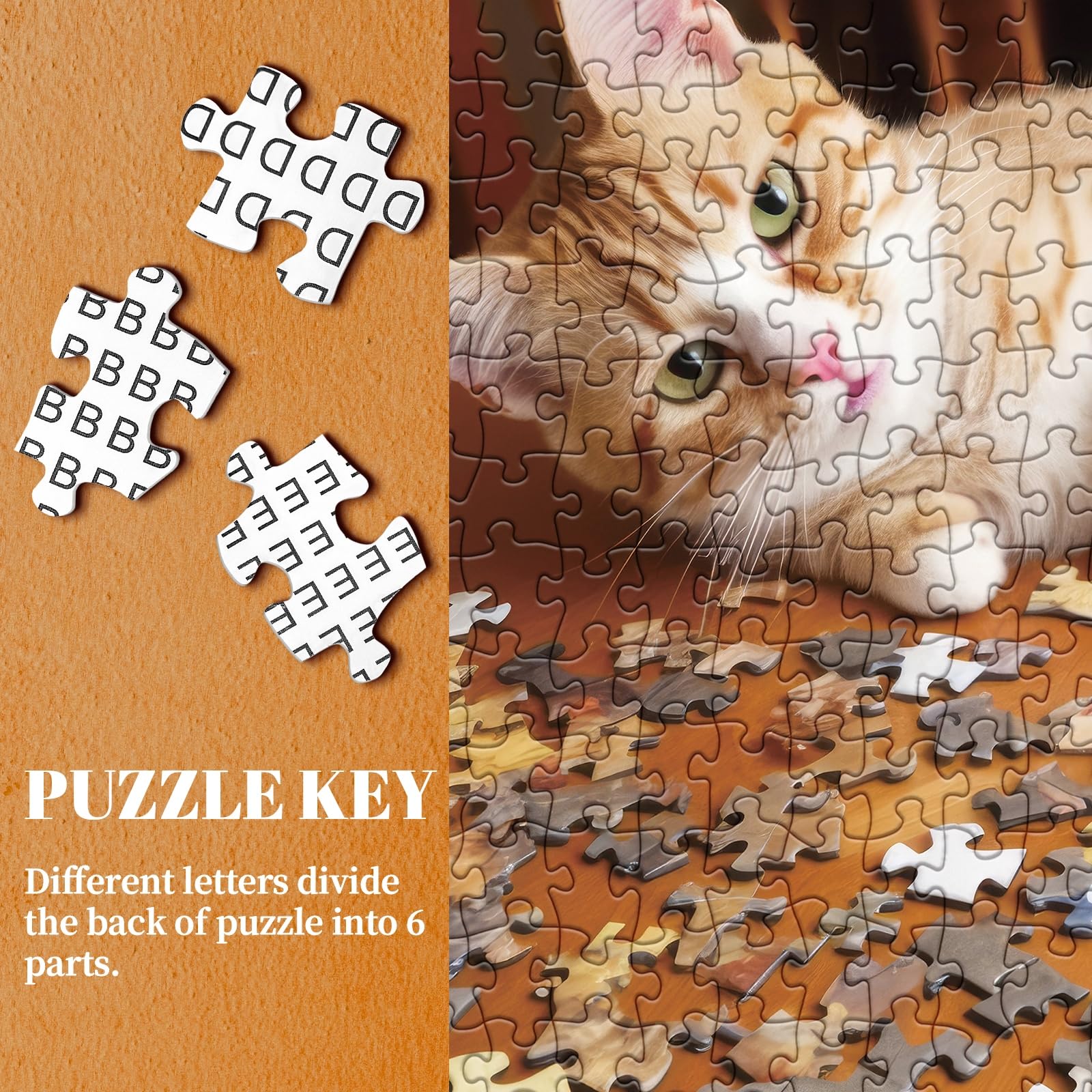1000 Piece Cat Jigsaw Puzzle for Adults - Funny Kitten & Kitty Puzzle for Cat Lovers | Challenging Brain Teaser | Perfect for Family Game Night & Stress Relief Activities