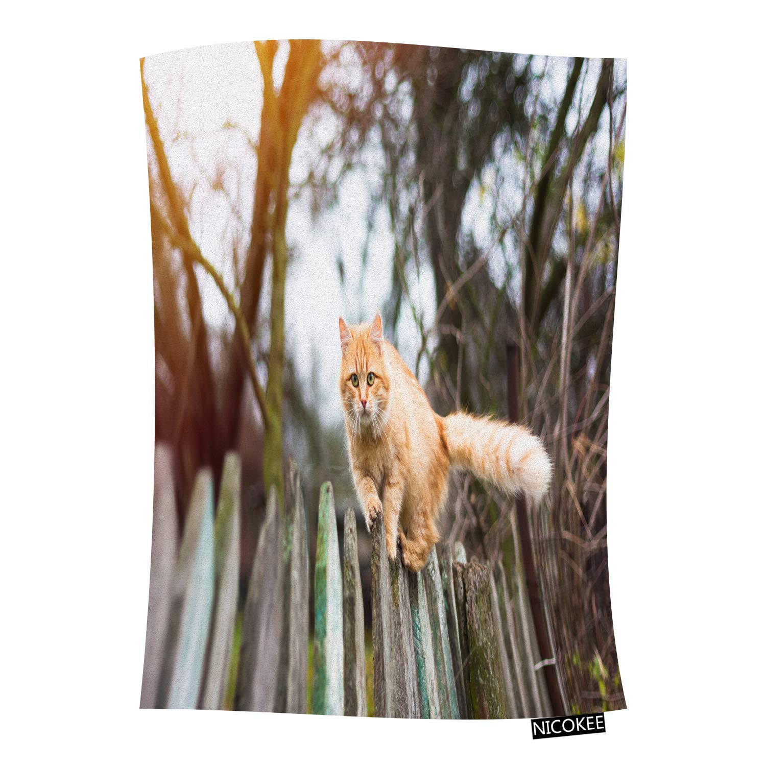 Soft Flannel Tabby Cat Throw Blanket - Cozy Orange Cat Design with Wooden Fence Autumn Scene - Perfect for Couch, Bed, Chair, Travel & Camping - Ideal for Home Decor, Gifts, and Pet Lovers