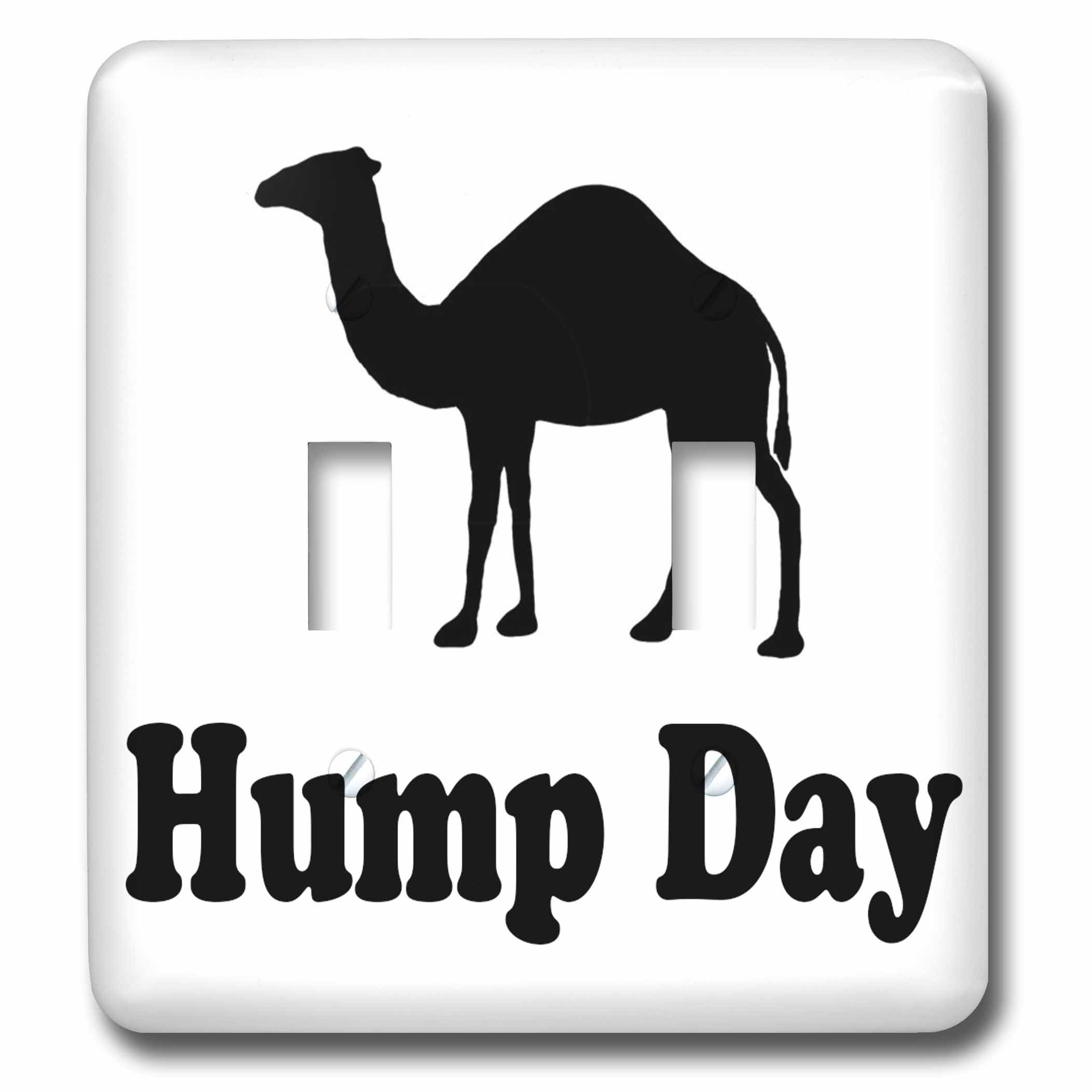 3dRose Hump Day Camel Wednesday Double Toggle Switch - Funny Novelty Light Switch Cover for Home & Office Decor