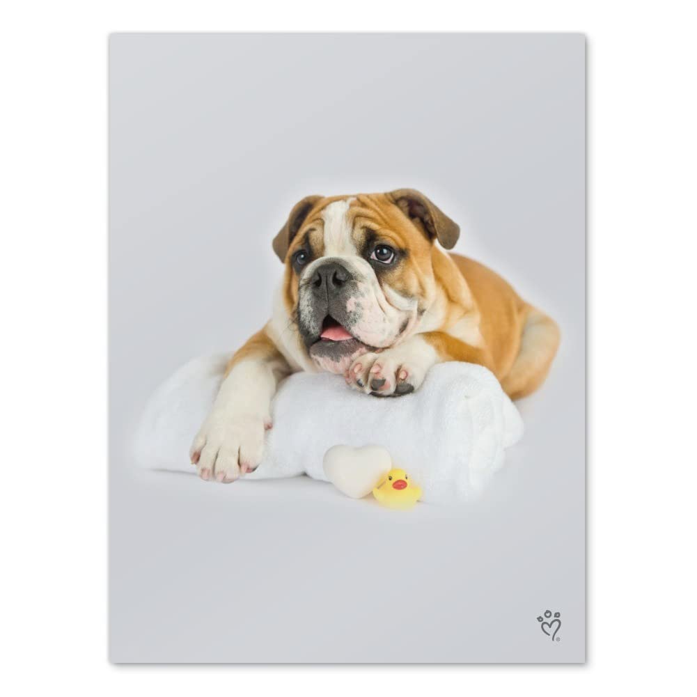 British Bulldog Puppy Dog Bath Towel & Rubber Duck Wall Art Poster - Home Decor for Bathroom, Nursery, Kids Room - Unique Gift Idea for Dog Lovers