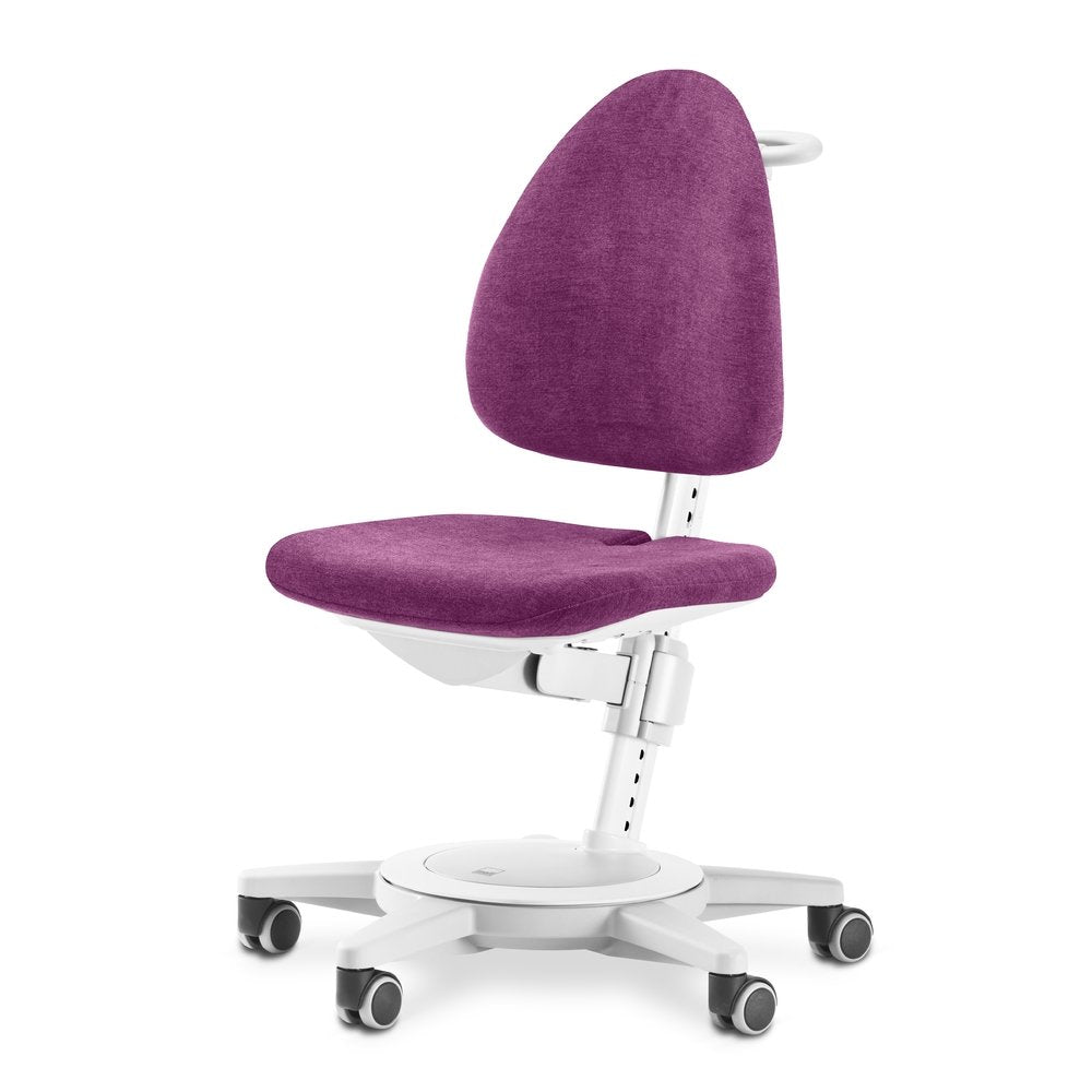 Moll Maximo Grey Trendy Office Chair - Ergonomic Desk Chair for Home & Work - Comfortable Computer Chair for Long Hours Sitting - Perfect for Office, Gaming, and Study Room