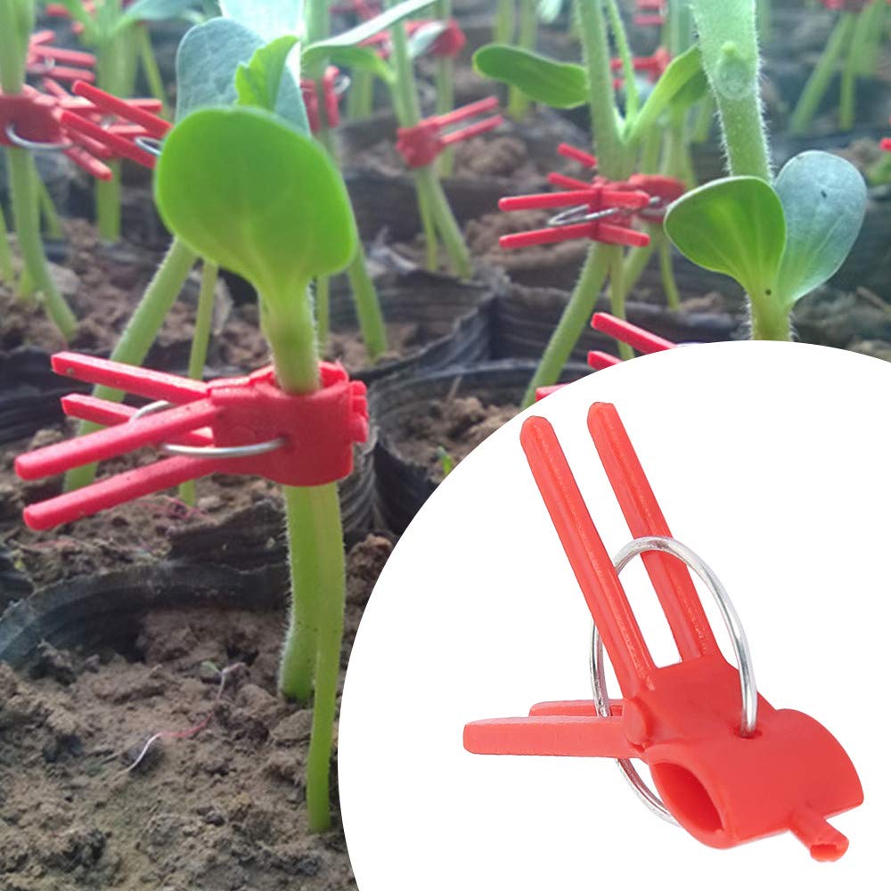 100PCS Plastic Round Mouth Grafting Clips for Plants - Gardening Tool for Cucumber, Eggplant, Tomato, Watermelon - Ideal for Home Garden, Greenhouse & Plant Propagation