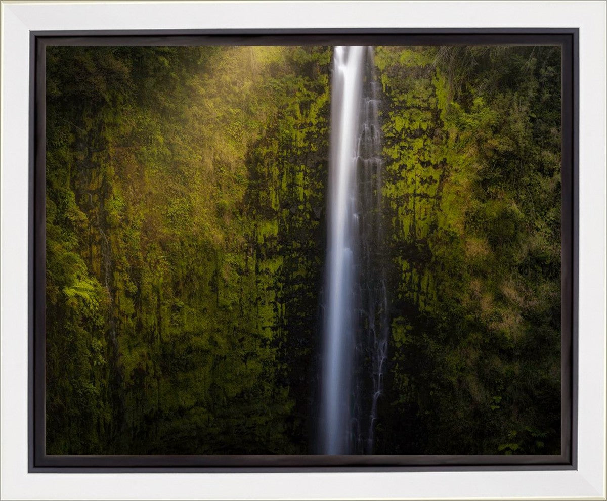 Stunning Akaka Falls Hawaii Landscape Art Print - Premium Gallery Wrap Canvas for Home & Office Decor - Perfect for Living Room, Bedroom, or Gift
