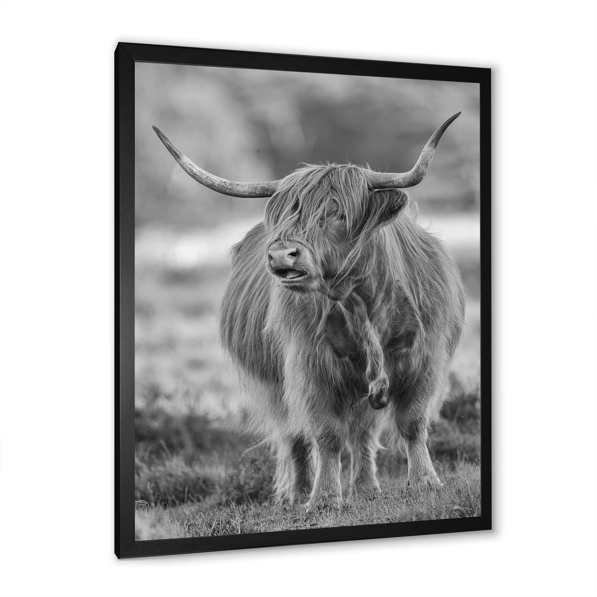 DesignQ Bull Farmhouse Framed Wall Art - Rustic Country Home Decor for Living Room, Bedroom & Office - Close Up View of Animal Portrait Painting