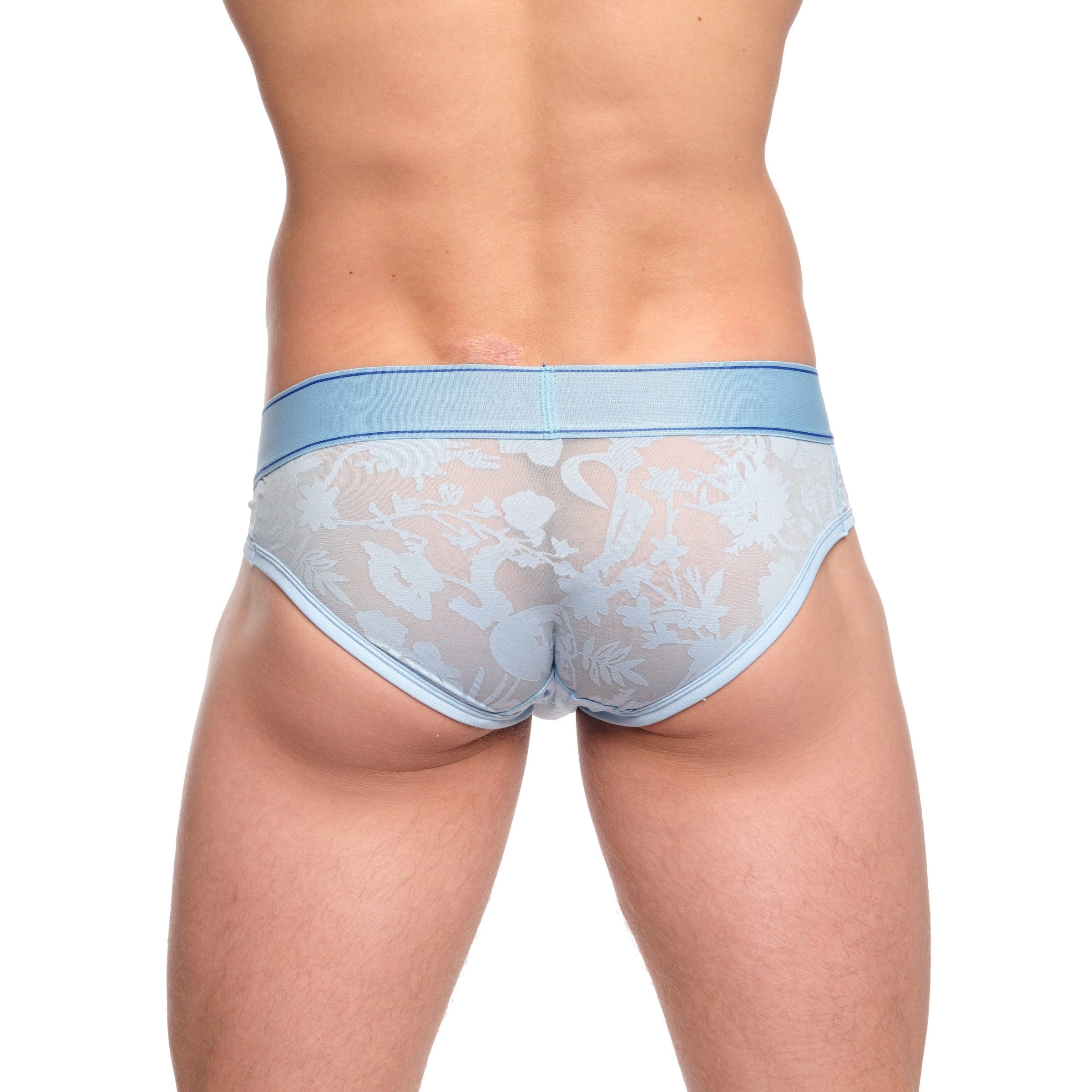 Dutch Floral Burnout Brief Sky - Women's Lace Underwear Set, Comfortable & Breathable Panties for Daily Wear, Sleep & Special Occasions