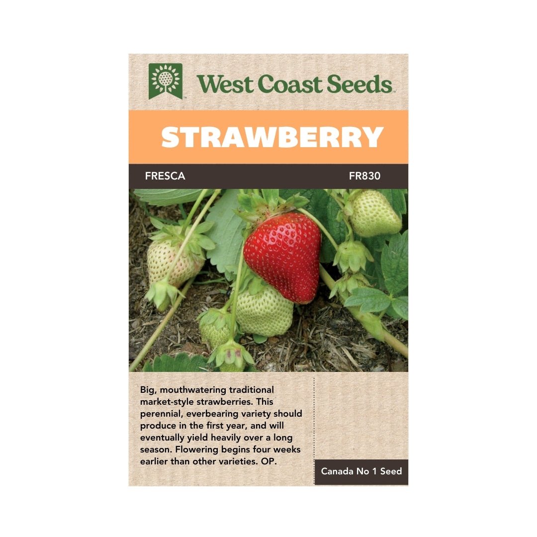 Fresh Strawberry Seeds for Planting - Non-GMO, Heirloom, High Germination Rate - Perfect for Home Garden, Indoor Pots, and DIY Gifts