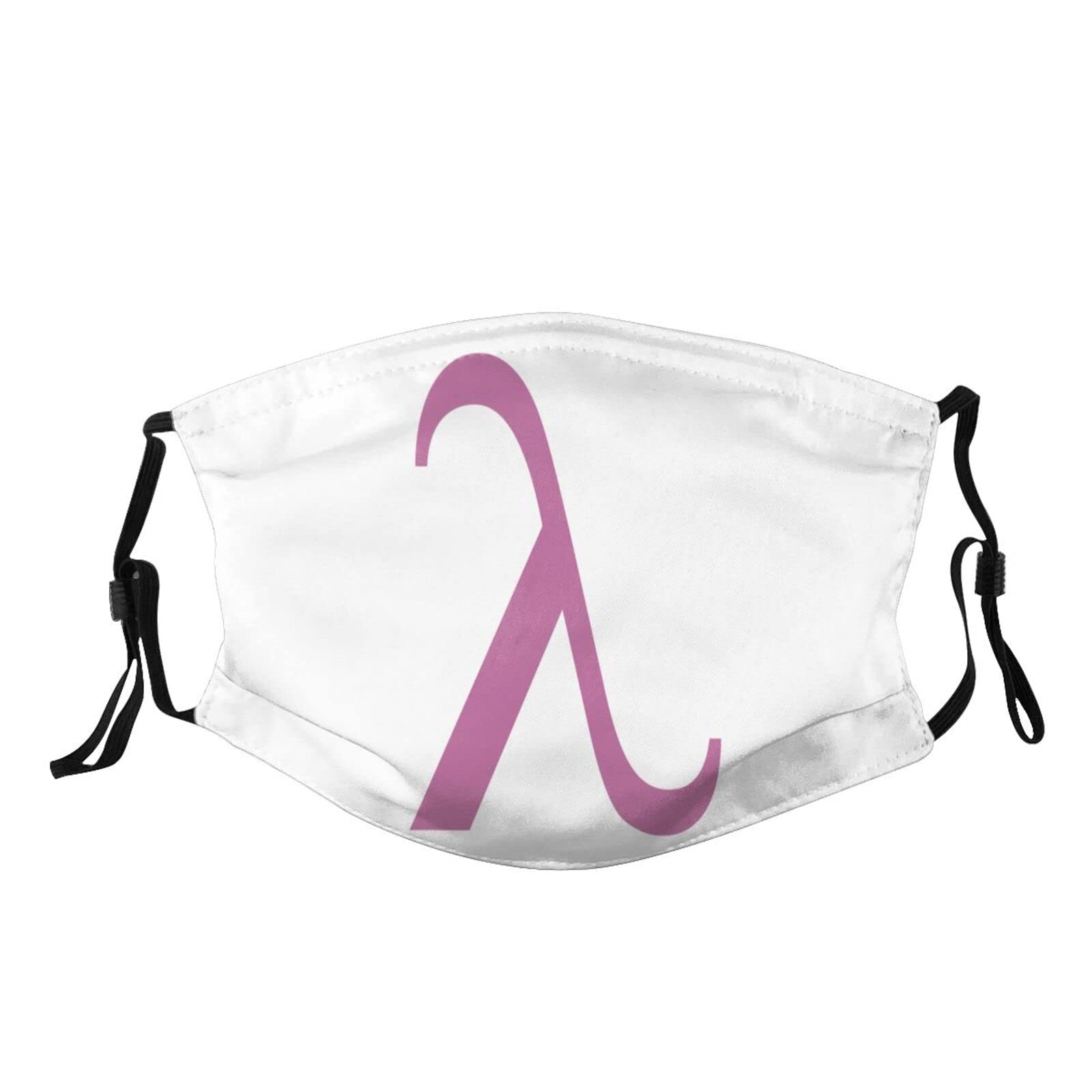 Lambda Gay Pride Flag LGBTQ+ Face Mask - Washable, Reusable & Breathable with 2 Filters for Adults - Perfect for Pride Parades, LGBTQ+ Events & Daily Protection