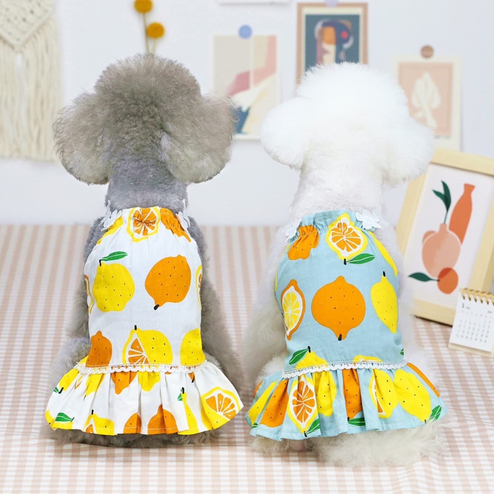 Breathable Sleeveless Lemon Print Dog Dress for Small Dogs - Summer Pet Clothes Puppy Costume for Outdoor Walks & Playtime