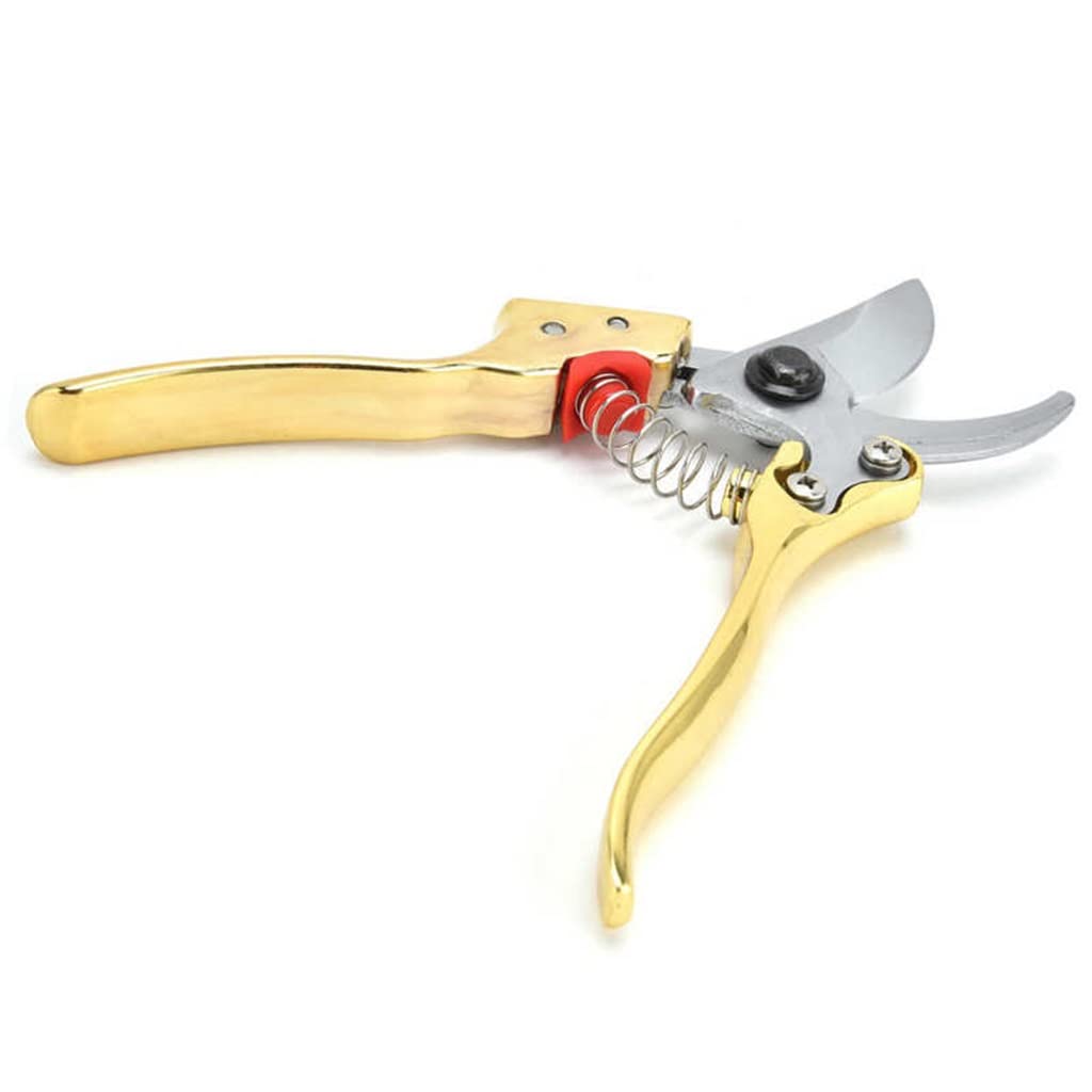 Premium Gardening Pruning Shears - Sharp Bypass Pruner for Branch Trimming, Home Garden, Floral Arrangement & Landscaping | Ergonomic Hand Tool for Easy Cutting & Pruning