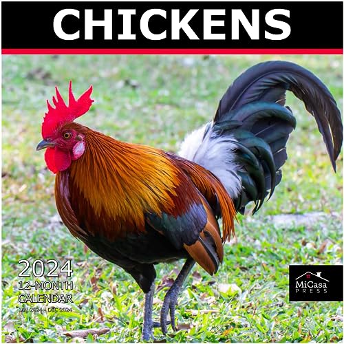 08 - Chickens